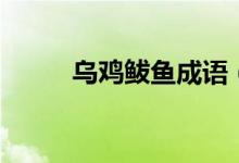 烏雞鲅魚成語(yǔ)（烏雞鲅魚啥意思）