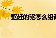 驅(qū)趕的驅(qū)怎么組詞（驅(qū)趕的驅(qū)的意思）