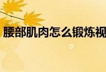 腰部肌肉怎么鍛煉視頻（腰部肌肉怎么鍛煉）