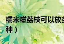 糯米糍荔枝可以放多久（糯米糍荔枝有幾個(gè)品種）