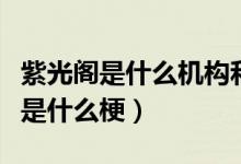 紫光閣是什么機構(gòu)和紫光大飯店（紫光閣飯店是什么梗）