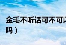 金毛不聽話可不可以餓它（金毛不聽話可以打嗎）