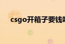 csgo開箱子要錢嗎（csgo開箱子技巧）