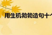 用生機(jī)勃勃造句十個字（用生機(jī)勃勃造句）