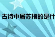 古詩(shī)中屠蘇指的是什么（古詩(shī)中屠蘇的意思）