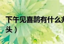 下午見喜鵲有什么兆頭（下午見喜鵲有什么兆頭）