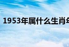 1953年屬什么生肖年（1953年屬什么生肖）