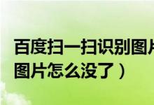 百度掃一掃識別圖片怎么用（百度掃一掃識別圖片怎么沒了）