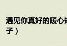 遇見你真好的暖心短句（遇見你真好的暖心句子）