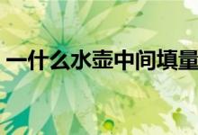 一什么水壺中間填量詞（一什么水壺填量詞）
