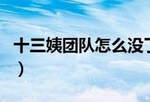 十三姨團(tuán)隊(duì)怎么沒了（十三姨團(tuán)隊(duì)怎么不在了）