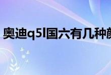 奧迪q5l國(guó)六有幾種顏色（奧迪q5l汽車(chē)介紹）