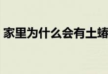 家里為什么會有土蝽（家里為什么會有蚰蜒）