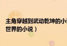 主角穿越到武動乾坤的小說有哪些（有沒有穿越到武動乾坤世界的小說）