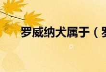 羅威納犬屬于（羅威納犬有分哪幾種）