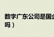 數(shù)字廣東公司是國企嗎（數(shù)字廣東公司是國企嗎）