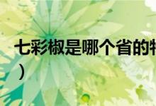 七彩椒是哪個省的特產(chǎn)（七星椒是哪兒的特產(chǎn)）