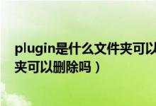 plugin是什么文件夾可以刪除嗎（snapplugin是什么文件夾可以刪除嗎）