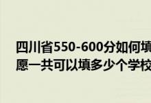 四川省550-600分如何填報志愿（2022年四川高考專科志愿一共可以填多少個學校）