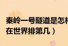 秦嶺一號(hào)隧道是怎樣建成的（秦嶺終南山隧道在世界排第幾）