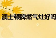 澳士頓牌燃?xì)庠詈脝幔纯催@幾點(diǎn)就知道了）