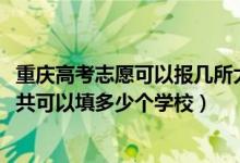 重慶高考志愿可以報(bào)幾所大學(xué)（2022年重慶高考本科志愿一共可以填多少個(gè)學(xué)校）