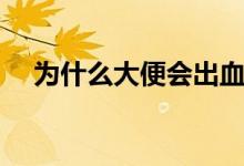 為什么大便會出血（為什么大便是黃色）