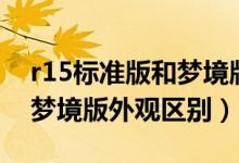 r15標(biāo)準(zhǔn)版和夢境版外觀區(qū)別（r15標(biāo)準(zhǔn)版和夢境版外觀區(qū)別）