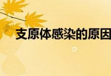 支原體感染的原因（支原體感染的原因）