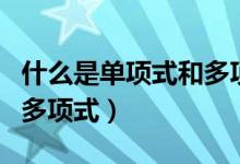 什么是單項式和多項式次數（什么是單項式和多項式）