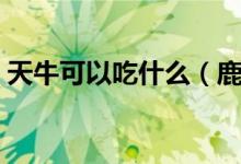 天?？梢猿允裁矗菇翘炫３允裁丛趺答B(yǎng)它）
