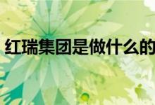紅瑞集團是做什么的（紅瑞集團是干什么的）
