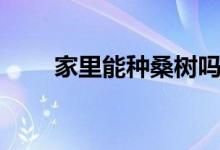 家里能種桑樹嗎（家里能種桑樹嗎）