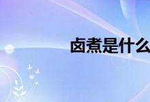 鹵煮是什么（鹵煮是什么）