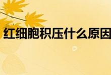 紅細(xì)胞積壓什么原因（紅細(xì)胞積壓什么意思）