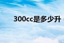 300cc是多少升（300cc是多少毫升）