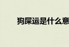 狗屎運(yùn)是什么意思（狗屎運(yùn)的意思）
