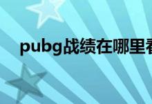 pubg戰(zhàn)績在哪里看（pubg戰(zhàn)績哪里看）