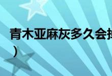 青木亞麻灰多久會掉色（青木亞麻灰多久褪色）