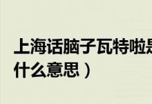 上海話腦子瓦特啦是什么意思（上海話瓦特了什么意思）