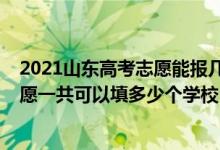 2021山東高考志愿能報(bào)幾個(gè)學(xué)校（2022年山東高考本科志愿一共可以填多少個(gè)學(xué)校）
