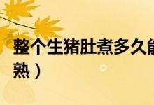 整個生豬肚煮多久能熟（一個豬肚要煮多久能熟）