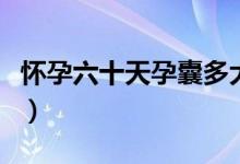 懷孕六十天孕囊多大（懷孕六十天孕囊有多大）