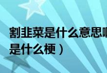 割韭菜是什么意思?。ǜ罹虏耸鞘裁匆馑季虏耸鞘裁垂＃?class=