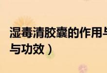 濕毒清膠囊的作用與功效（濕毒清膠囊的作用與功效）