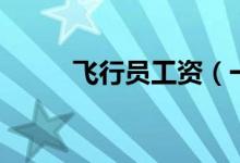 飛行員工資（一個(gè)月能有多少錢）