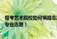 報(bào)考藝術(shù)院校如何填報(bào)志愿（藝術(shù)類考生如何填報(bào)高等學(xué)校專業(yè)志愿）