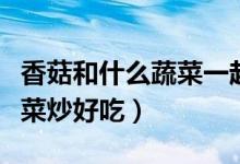 香菇和什么蔬菜一起做餡好吃（香菇和什么蔬菜炒好吃）