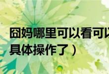 囧媽哪里可以看可以投屏（想要看的快來了解具體操作了）