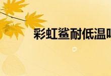 彩虹鯊耐低溫嗎（彩虹鯊吃什么）